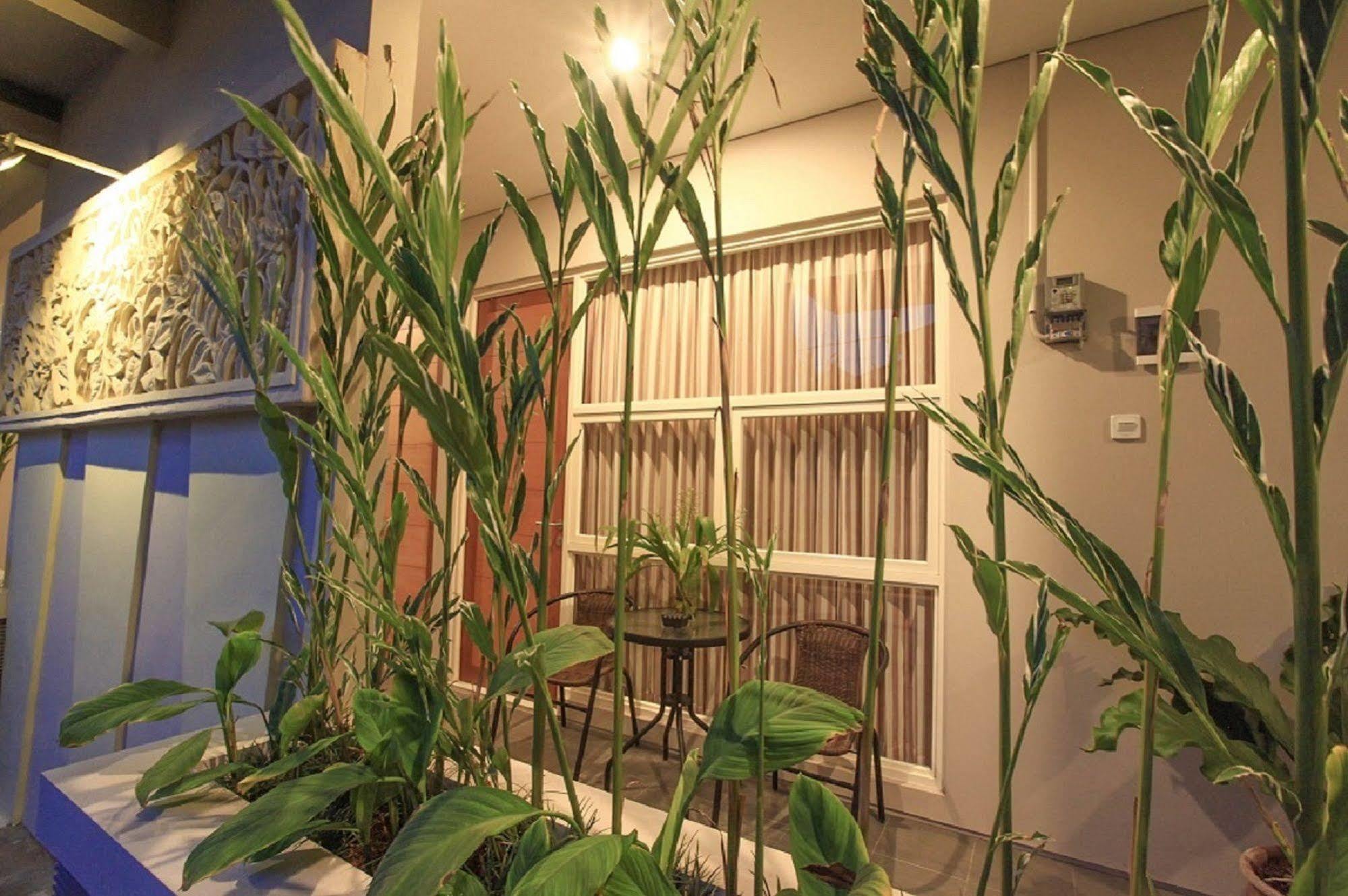 الشقق الفندقية دنباسارفي  Bali True Living المظهر الخارجي الصورة